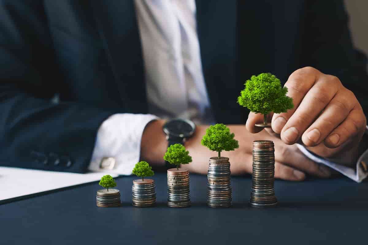 Wealth Management